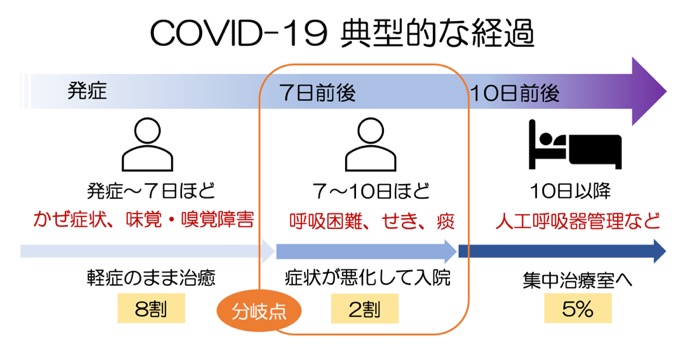 COVID-19 新型コロナウイルス感染後の典型的な経過